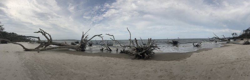 panorama view of the beach