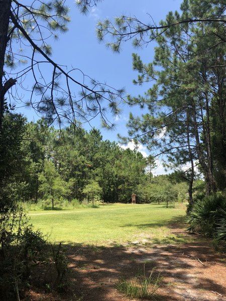 small opening where trail gets wider and intersects with dirt road