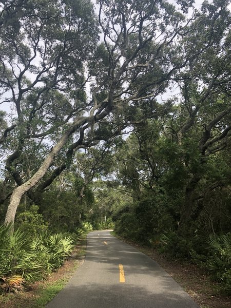 The wide, paved road for pedestrians and bikes