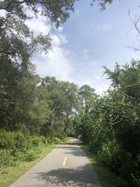 Stretch of paved trail