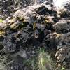 One of the many boulders found along the Geology Trail