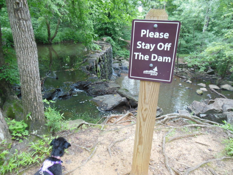 Trying to keep Parker off the dam.