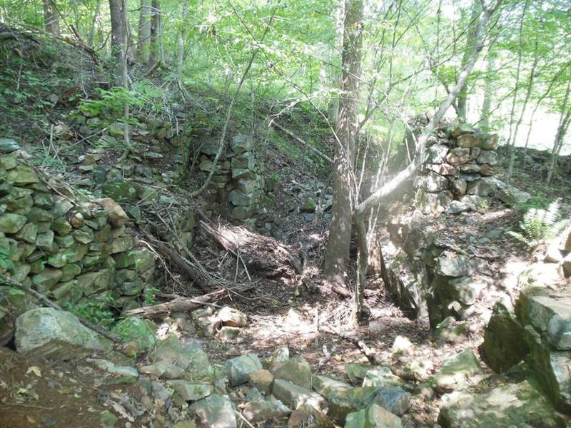 The wheel pit of Holden's mill: headrace in foreground, pit in the middle where the tree is growing, tailrace in the background. Mill is on the left side.