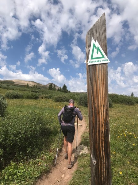 Heading out of Guller Creek and beginning the climb.