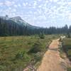 Looking up towards the Black Tusk