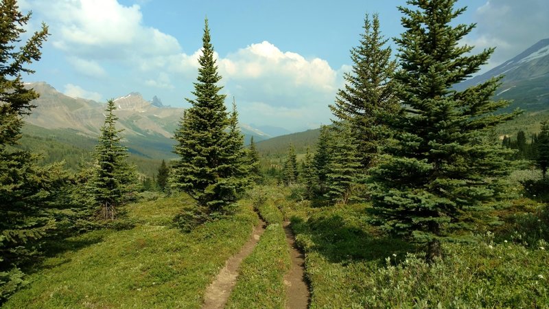 Mountains to the southwest come into view as Pobotkan Pass Trail climbs through meadows dotted with firs.