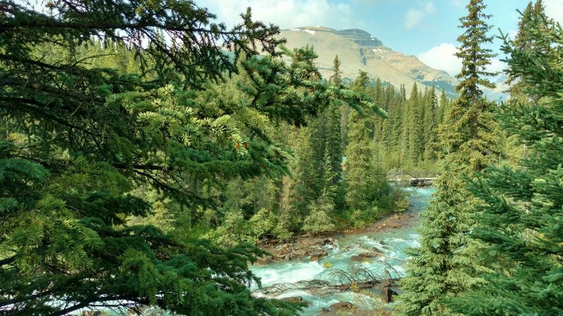 The Brazeau River fork from Brazeau Lake is crossed on a sturdy bridge by Pobotkan Pass Trail (looking west, upstream).