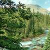 The Brazeau River fork from Brazeau Lake is crossed on a sturdy bridge by Pobotkan Pass Trail (looking west, upstream).