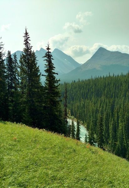 Looking east in the early morning, from a grassy bluff overlooking the Brazeau River fork from Brazeau Lake.