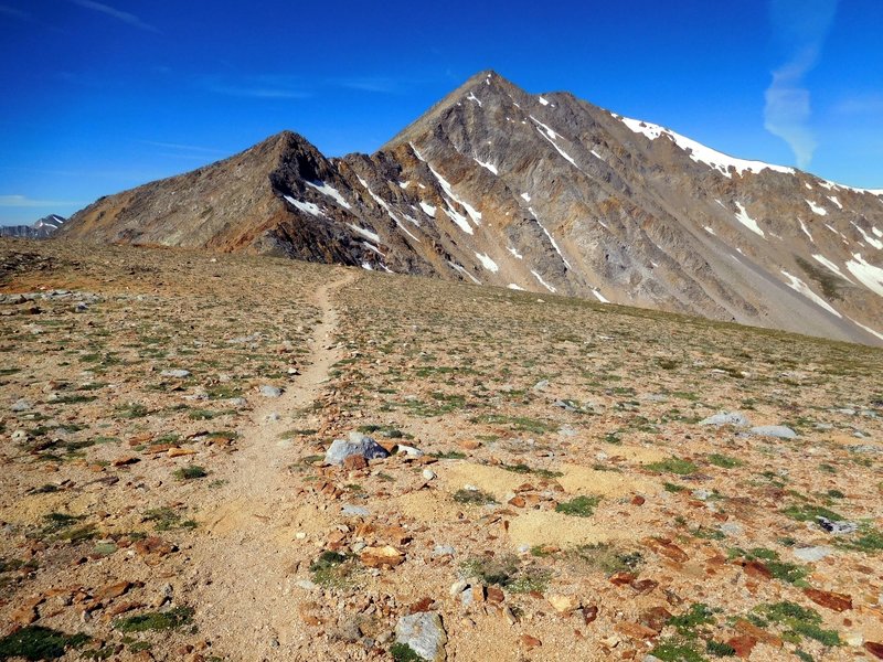 La Plata Peak trail looking at Sayers Peak