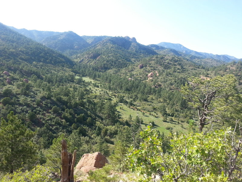 "canyon" spur trail leads back into this area