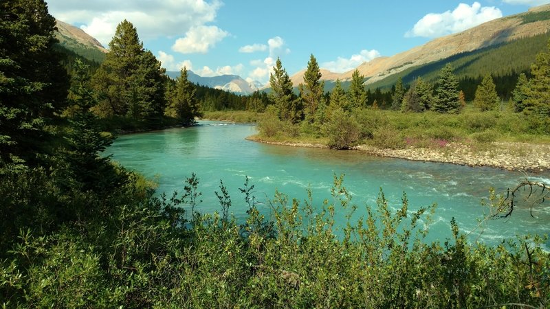 The gorgeous turquoise Brazeau River in the mountains of the backcountry of Jasper National Park, along the South Boundary Trail