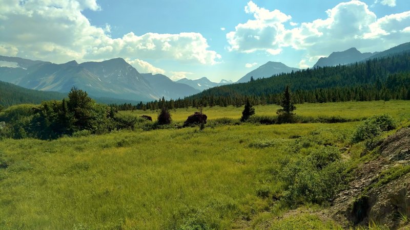 A lush, VERY soggy meadow fed by a creek that spreads through it before flowing into the Brazeau River. The trail circles around most of it except for where it goes in the meadow and crosses the fanned out water running under bushes - So much FUN :>) !