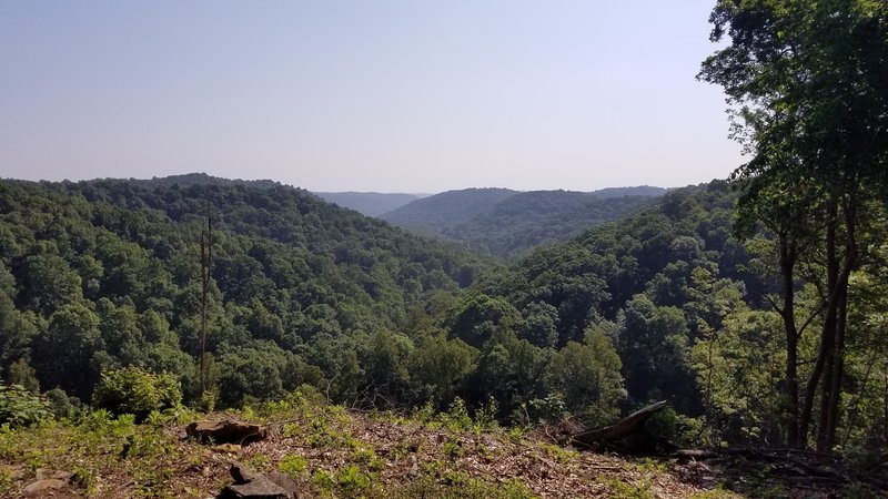 Over looking the gorge. This is one of the few open views, since the trail is a "green tunnel".