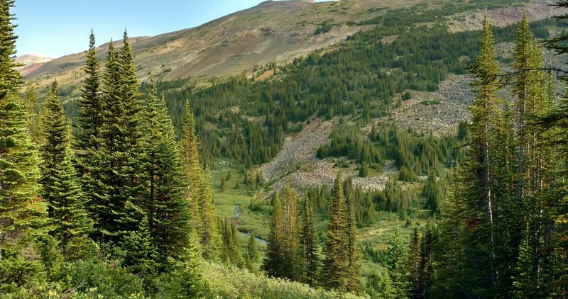 Four Point Creek deep in the valley below Jonas Pass Trail.