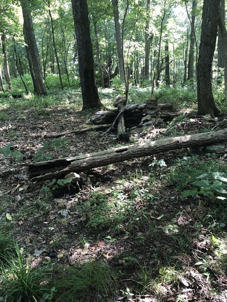 Fire pit at Pine Run Shelter (Baker Trail)