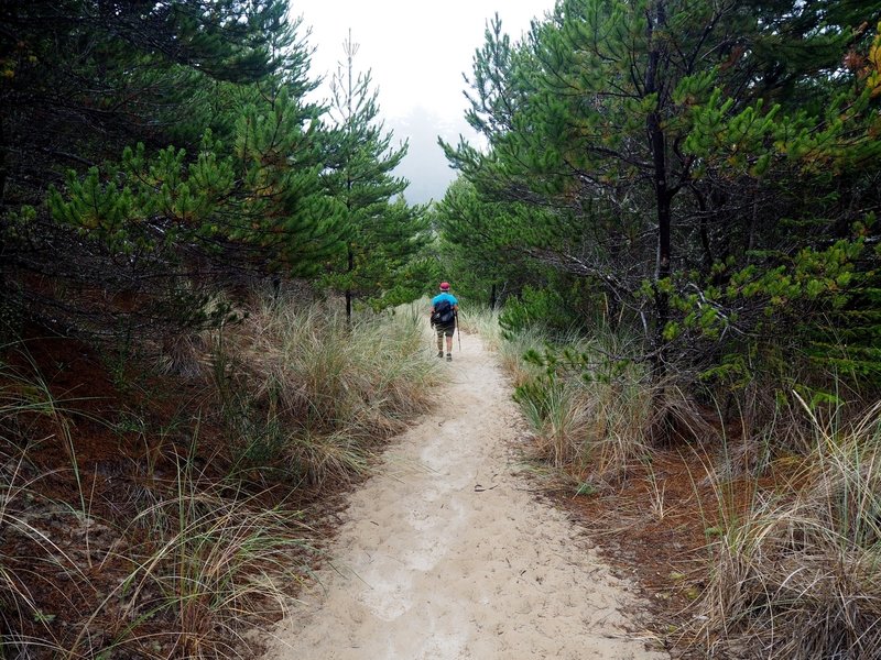 Reaching the eastern edge of the dunes.