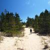 Passing through the shore forest on soft sand