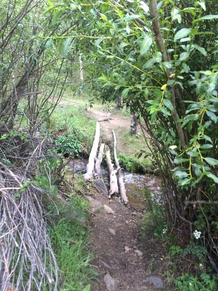 First stream crossing at the beginning of Rex Trail.