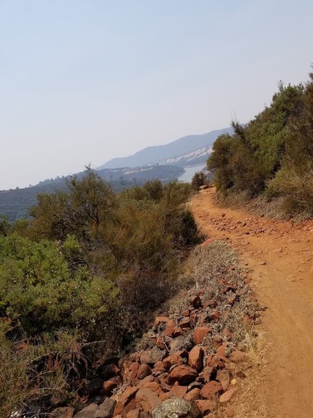 Looking west at Folsom Lake from the SFART.