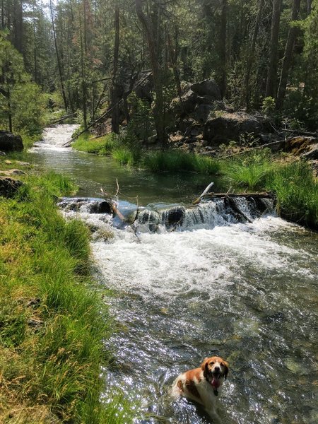 Paulina Creek