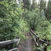 Bridge over Rock Creek along Colorado Trail