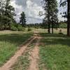 Coyote Hill Loop Trail - going counter-clockwise