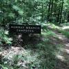 Murray Branch Campsites