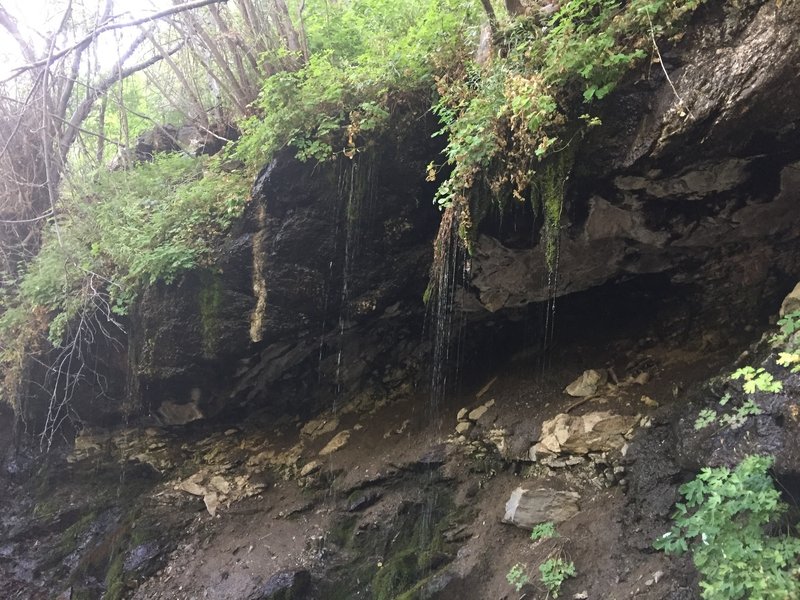 Little waterfalls above the grotto.