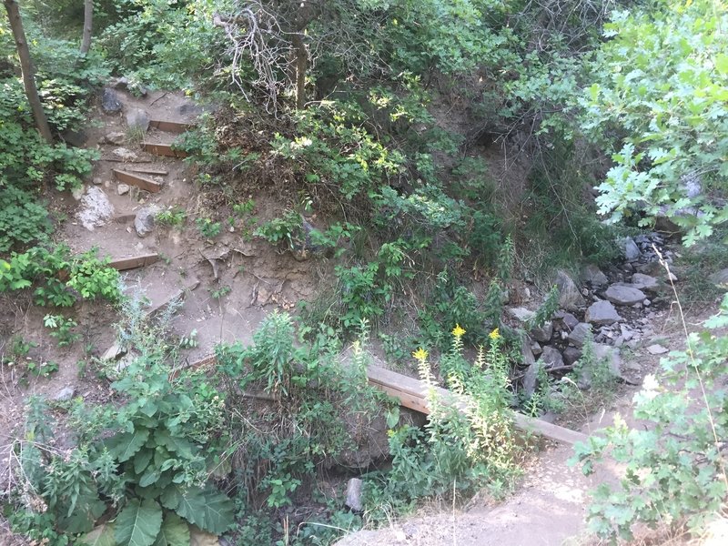 The stairs go down-canyon. Here is the plank bridge at a fork, either path of which merges back on itself. After crossing the bridge, go left for the grotto, or right for some craggies.