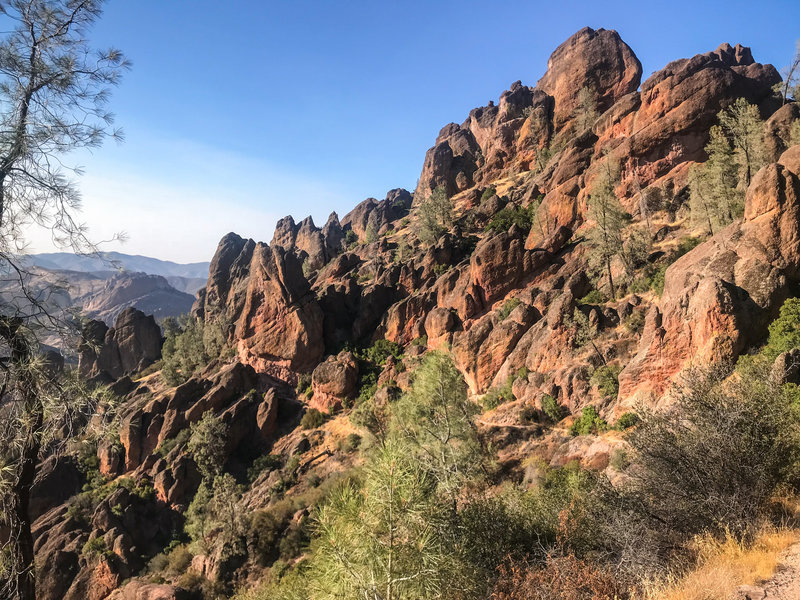 The view of the Pinnacles from the western side of the park (as seen near the junction between Juniper Canyon Trail and the High Peaks) proved one of our favorites.