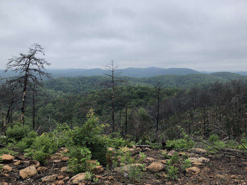 A good place to rest. There is a picnic table to sit and glaze the South Mountains around this point.