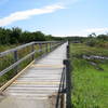 Dune Trail Entrance