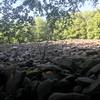 Boulder field