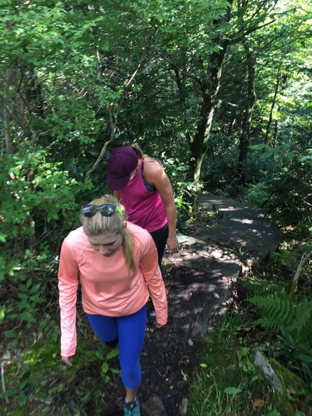 Hiking up stairs inset in the trail