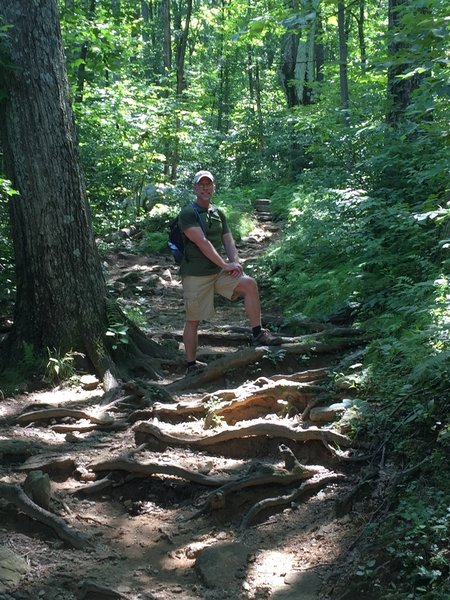 Pause break on the way up west side of Old Rag.