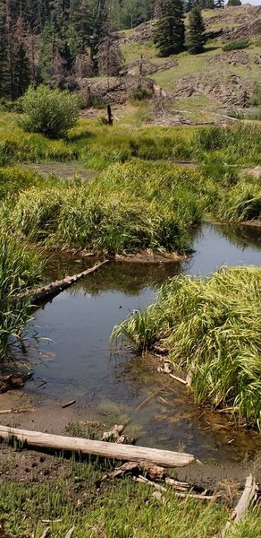 Little pond on the way to the mine.