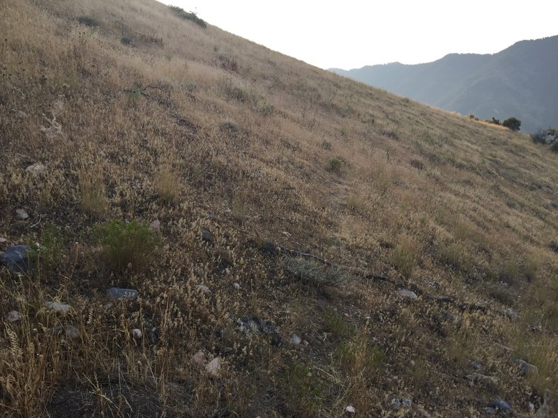 Believe it or not, there is a faint trail here, and it disappears quickly, leaving you to traverse on your own.  This is the start of the 5th crux.