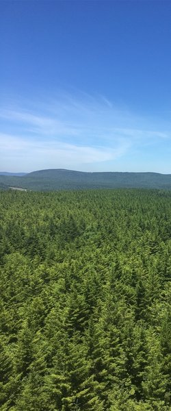 From top of fire tower looking north of Snowshoe sski resort