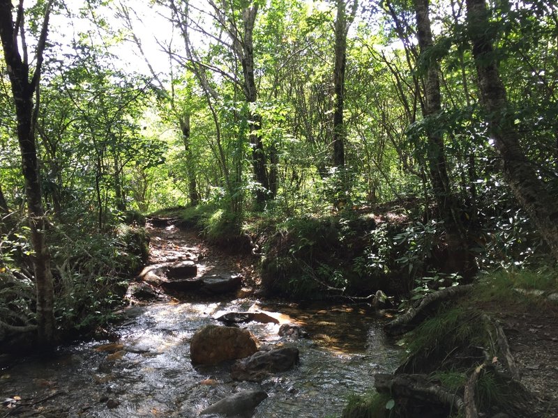 Small creek crossing