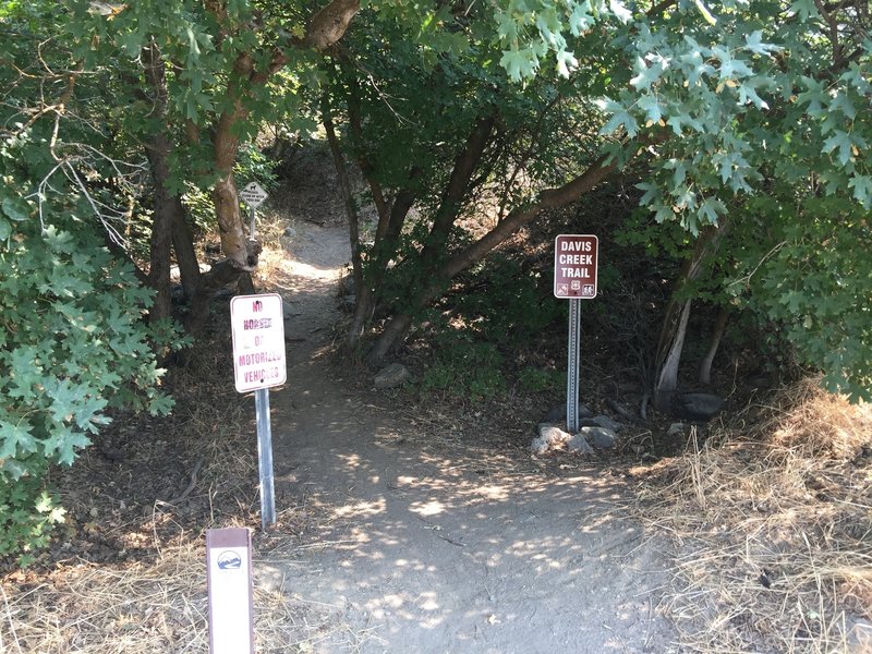 Here's the start of the trail. Unfortunately, you can no longer park here. I used to park here all the time.