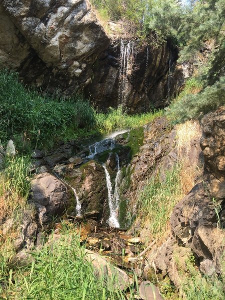 One of the waterfalls. It's probably much more interesting in the spring time.