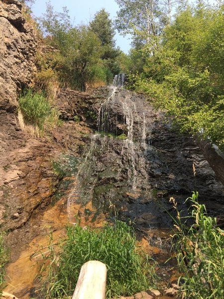 A slimy waterfall that's probably more interesting in spring. Pizza-the-hut would feel right at home.