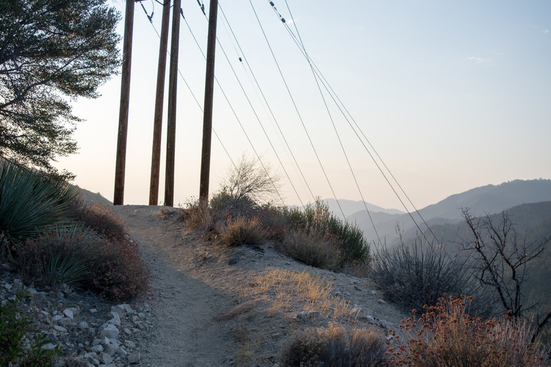 Dawn light on the Strawberry Peak trail