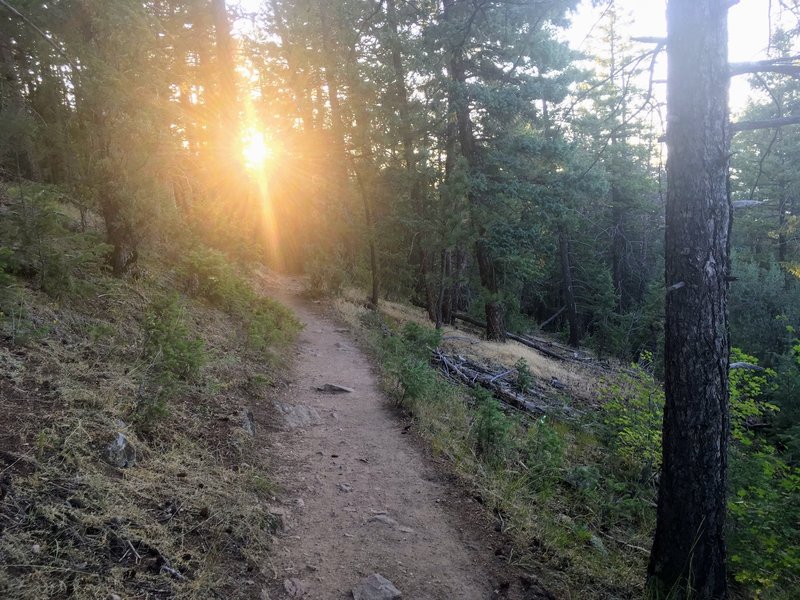 Evening shot of Beaver Brook Trail