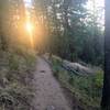 Evening shot of Beaver Brook Trail