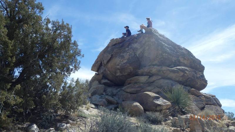 My kids found a nice perch on the Maze Loop Trail.