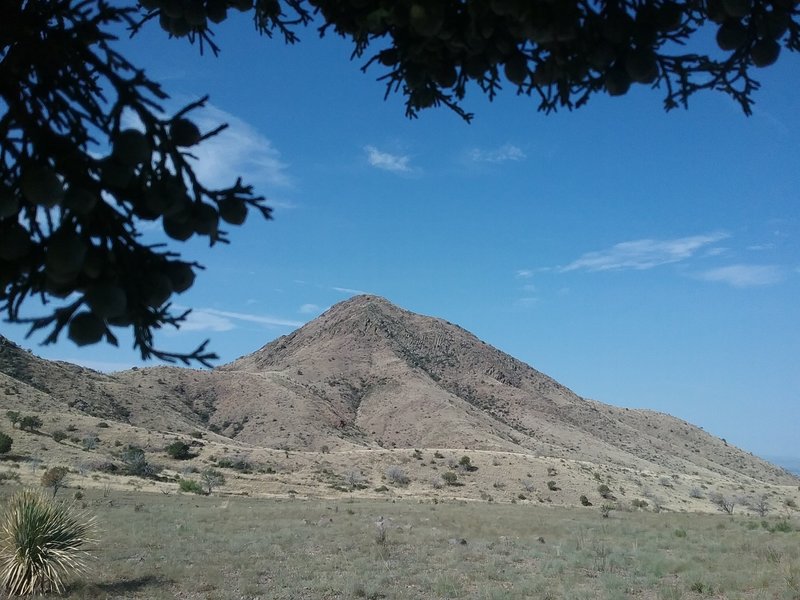 Looking west from the trail