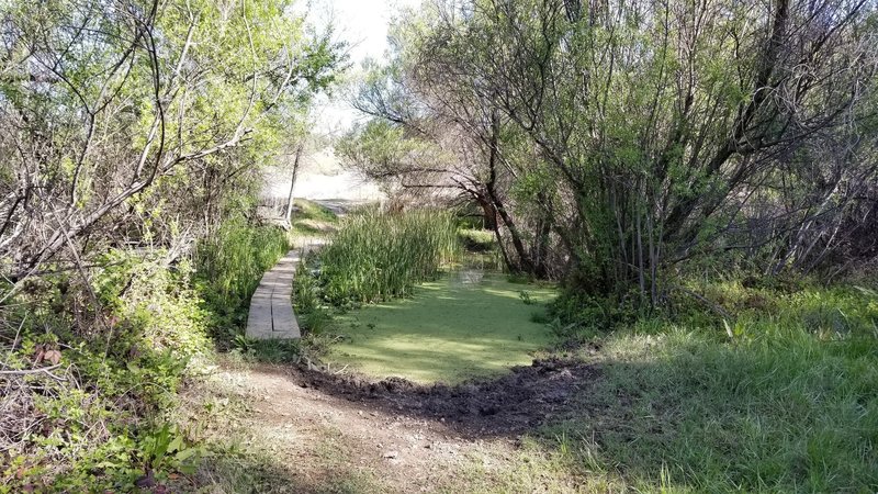 A small water crossing.