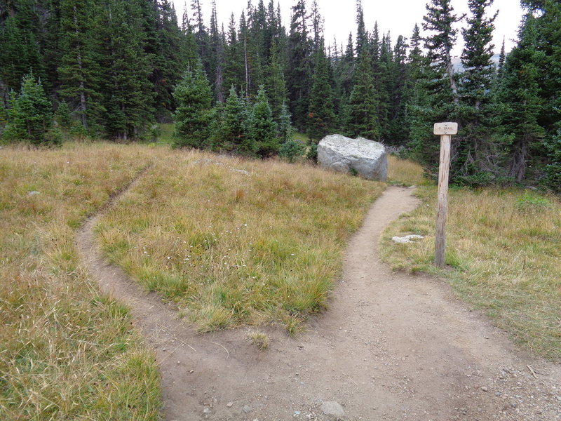 The trail up Niwot Spur